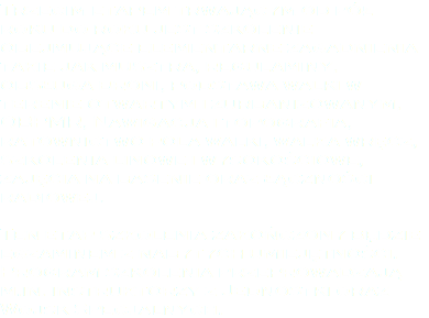 Trzecim etapem trwającym od pół roku do roku jest szkolenie obejmujące elementarne zagadnienia takie jak musztra, regulaminy, obsługa broni, podstawa walki w terenie otwartym i zurbanizowanym, OBPMR, Nawigacja i topografia, ratownictwo pola walki, walka wręcz, szkolenia linowe i wysokościowe, zajęcia na basenie oraz łączności radiowej. Ten etap szkolenia zakończony będzie egzaminem z nabytych umiejętności. Program szkolenia przeprowadzają m.in. instruktorzy z Jednostki oraz Wojsk Specjalnych.